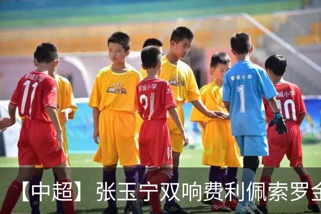 【中超】张玉宁双响费利佩索罗金破门 蓉城2比2国安
