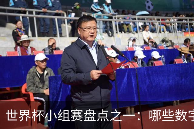 世界杯小组赛盘点之一：哪些数字让你印象深刻？