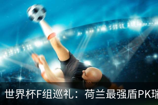世界杯F组巡礼：荷兰最强盾PK瑞典犀利刀 日本短板明显