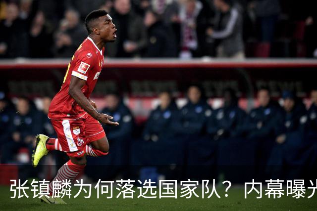 张镇麟为何落选国家队？内幕曝光，叫人心疼，郭士强并没放弃他