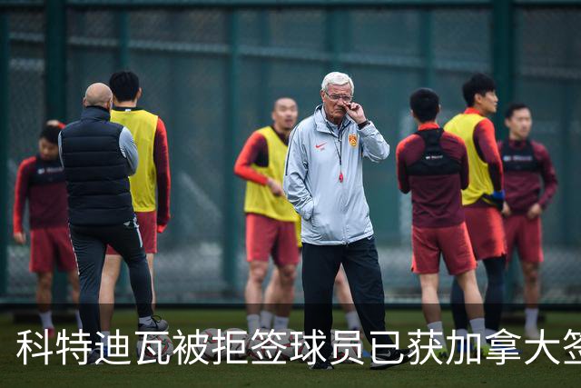 科特迪瓦被拒签球员已获加拿大签证 有望登场出战德国