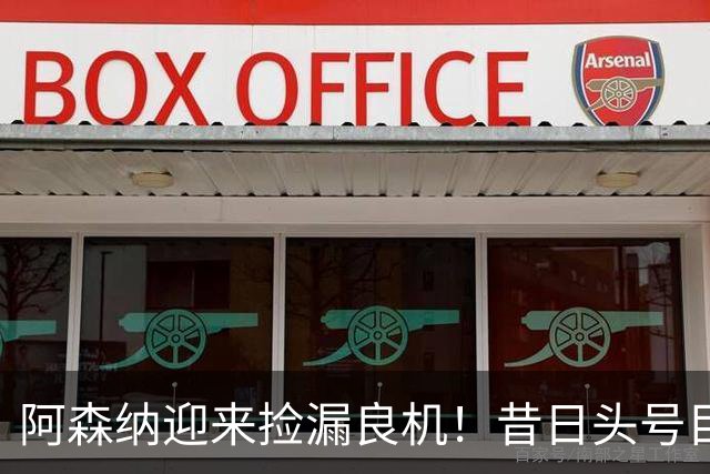 阿森纳迎来捡漏良机！昔日头号目标神锋自由身离队